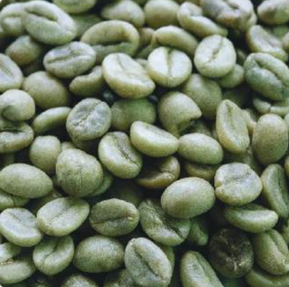 Robusta Green Coffee Beans S16 Grade 1 – product photo, Long Green Beans products found from trusted suppliers, wholesalers, manufacturers & exporters Listing